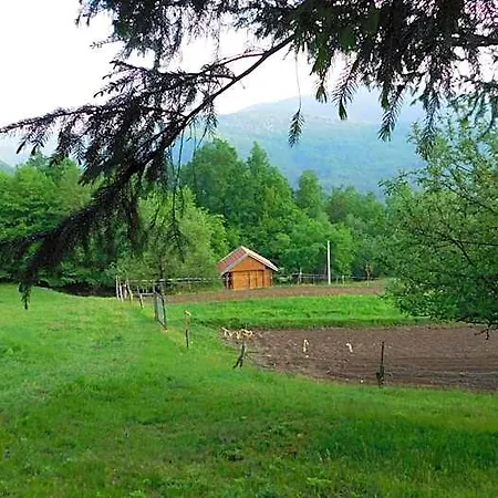 Robinzonski Turizam 